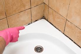 mold in bathroom